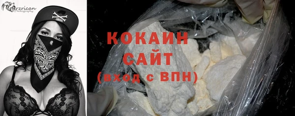 стаф Аркадак