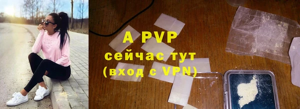 стаф Аркадак