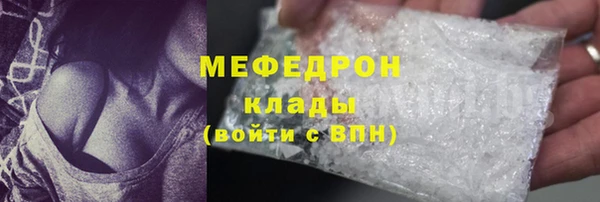 стаф Аркадак