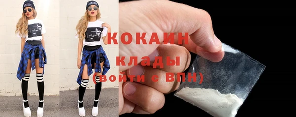 стаф Аркадак