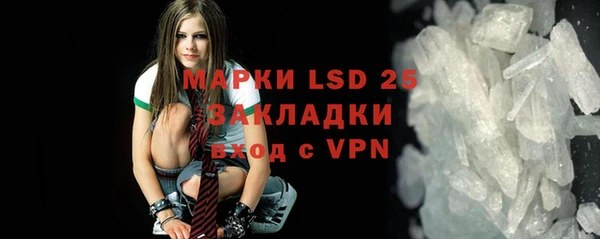 стаф Аркадак