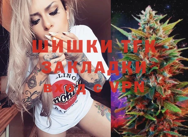 стаф Аркадак