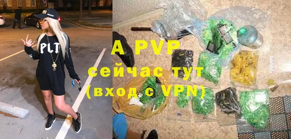 стаф Аркадак