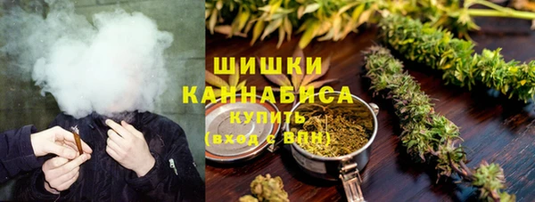 стаф Аркадак