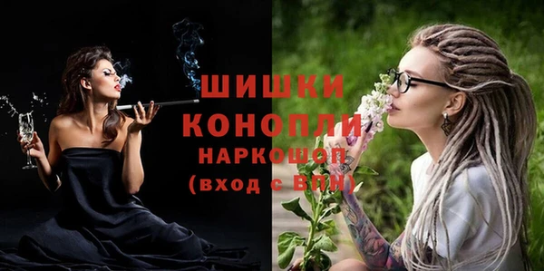 стаф Аркадак